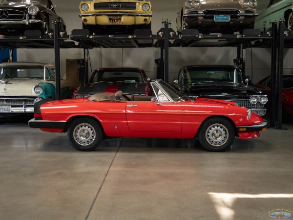 Used 1985 Alfa Romeo Spider Veloce | Torrance, CA