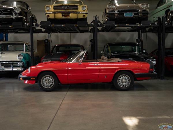 Used 1985 Alfa Romeo Spider Veloce | Torrance, CA