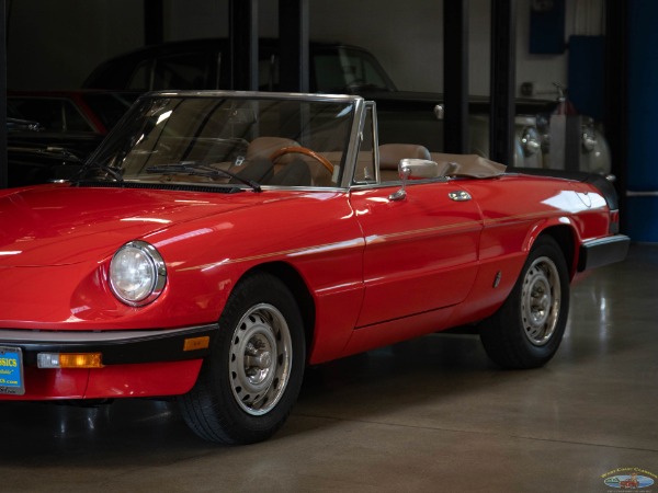 Used 1985 Alfa Romeo Spider Veloce | Torrance, CA