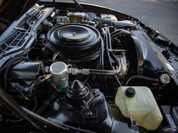 Used 1982 Pontiac Firebird Trans Am with 32K orig miles | Torrance, CA